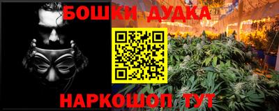 шишки Аргун