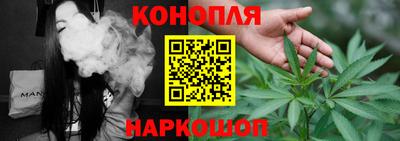 шишки Аргун