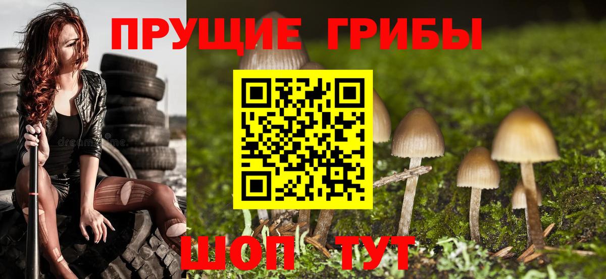Псилоцибиновые грибы GOLDEN TEACHER  Галлюциногенные грибы прущие грибы  Волгоград  хочу наркоту  Вход с VPN 