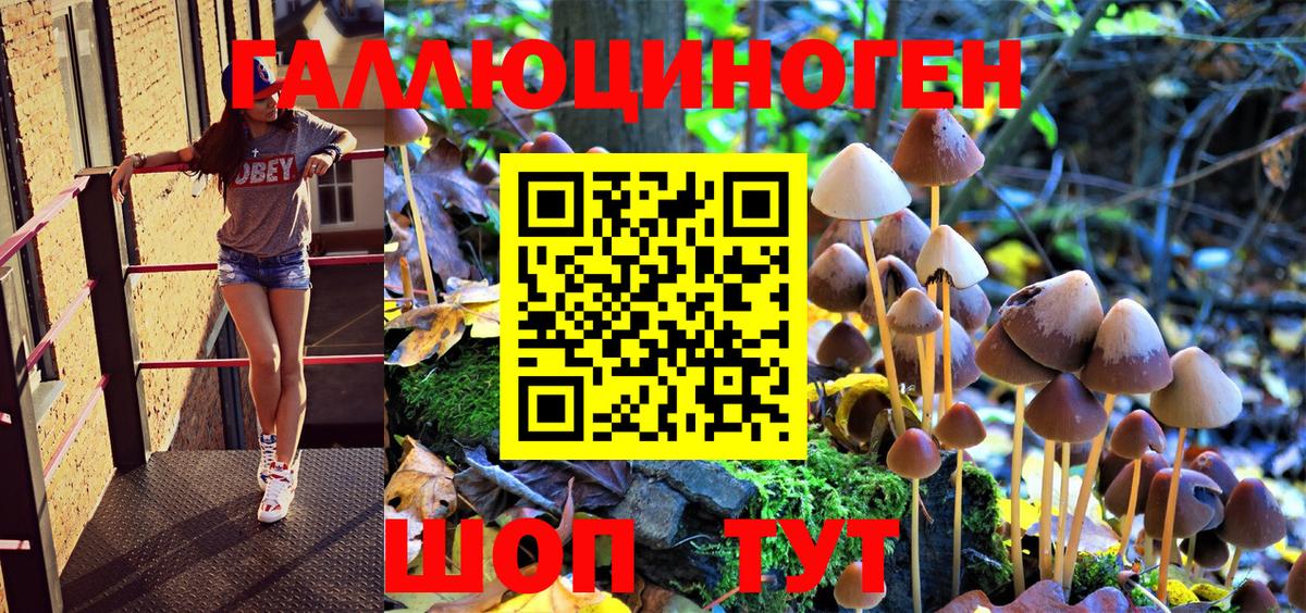 Псилоцибиновые грибы MAGIC MUSHROOMS Волгоград